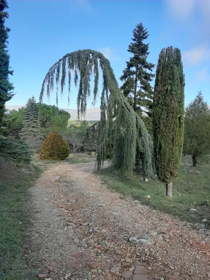 Domaine De La Xavoliere Saint-Cézaire-sur-Siagne Exterior foto