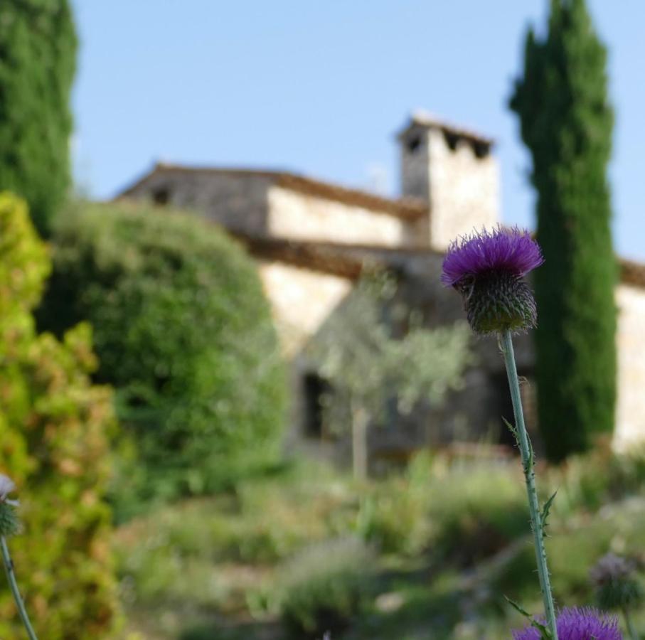 Domaine De La Xavoliere Saint-Cézaire-sur-Siagne Exterior foto