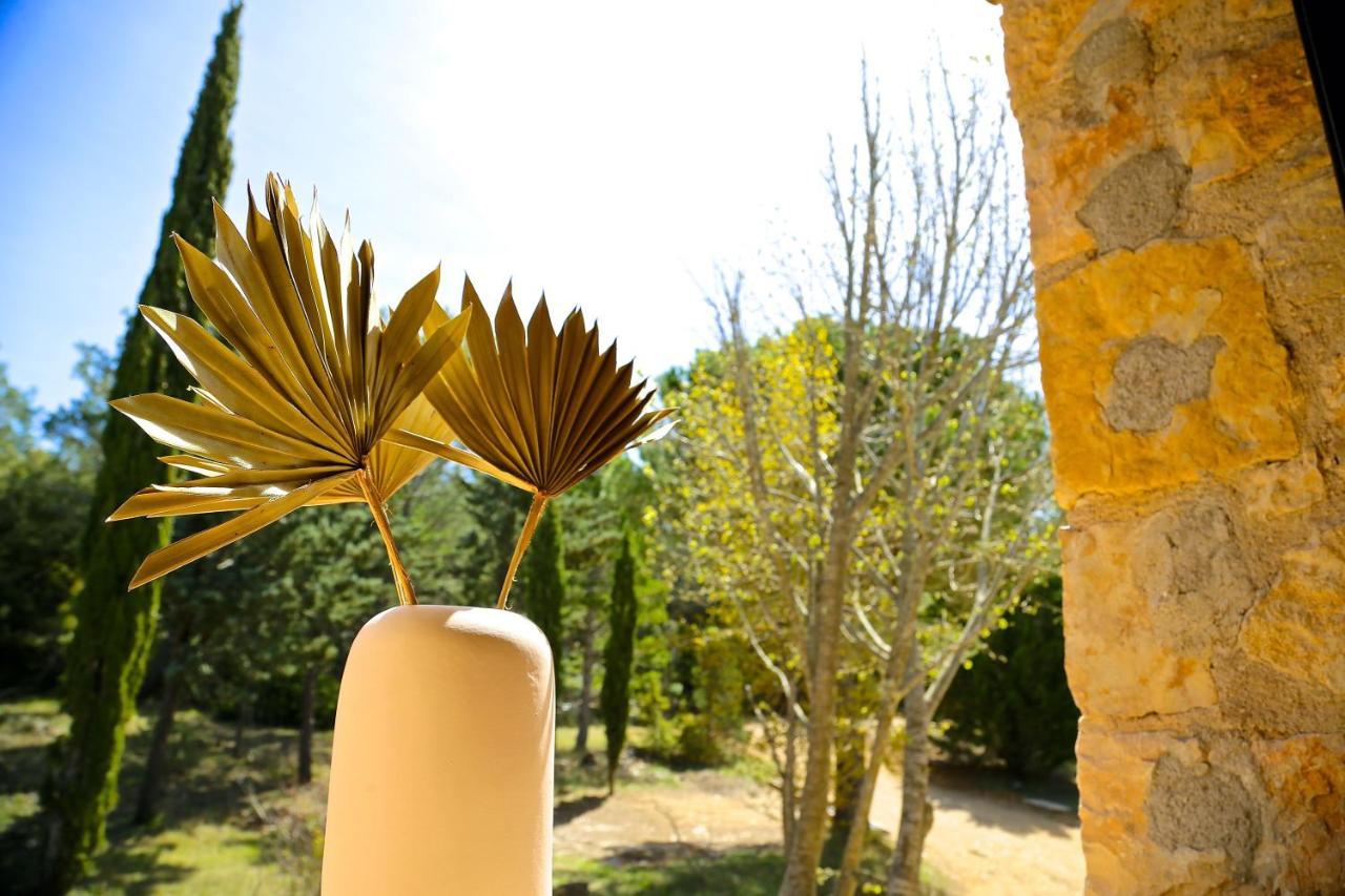 Domaine De La Xavoliere Saint-Cézaire-sur-Siagne Exterior foto